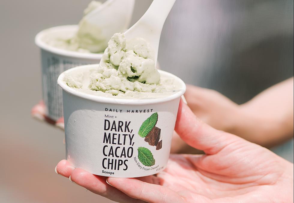 Daily Harvest Giving Away Free Scoops of Their Vegan Ice Cream Nationwide