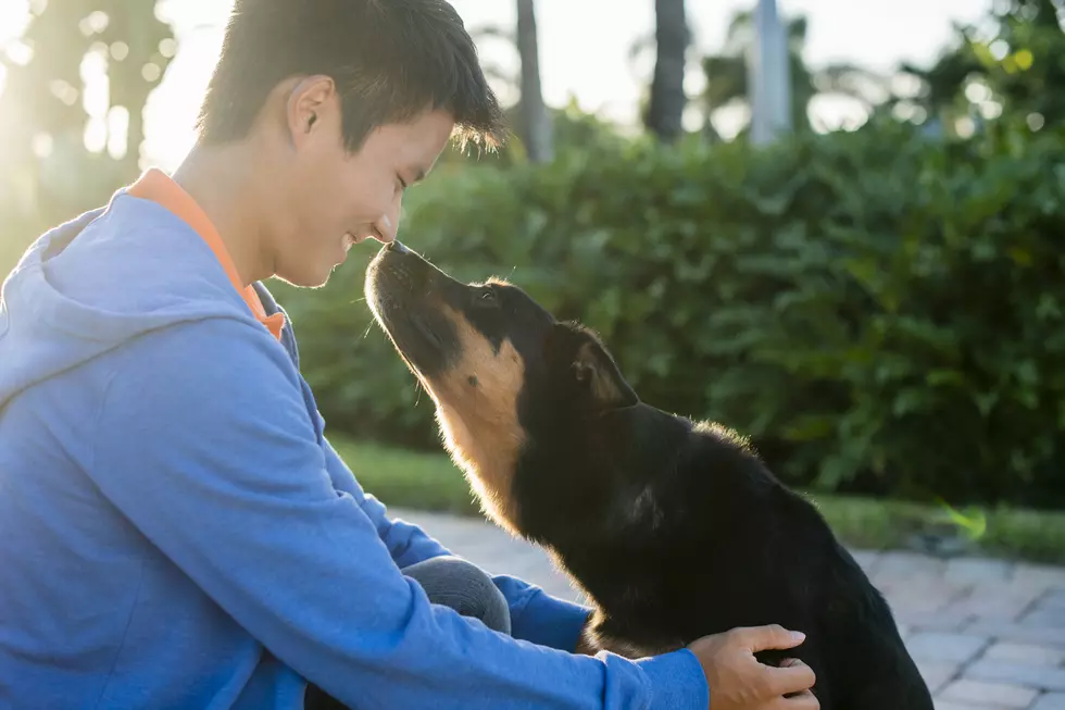 Kim Jong-Un Is Forcing Dog Owners to Give Up Pets. Owners Dread Their Fate