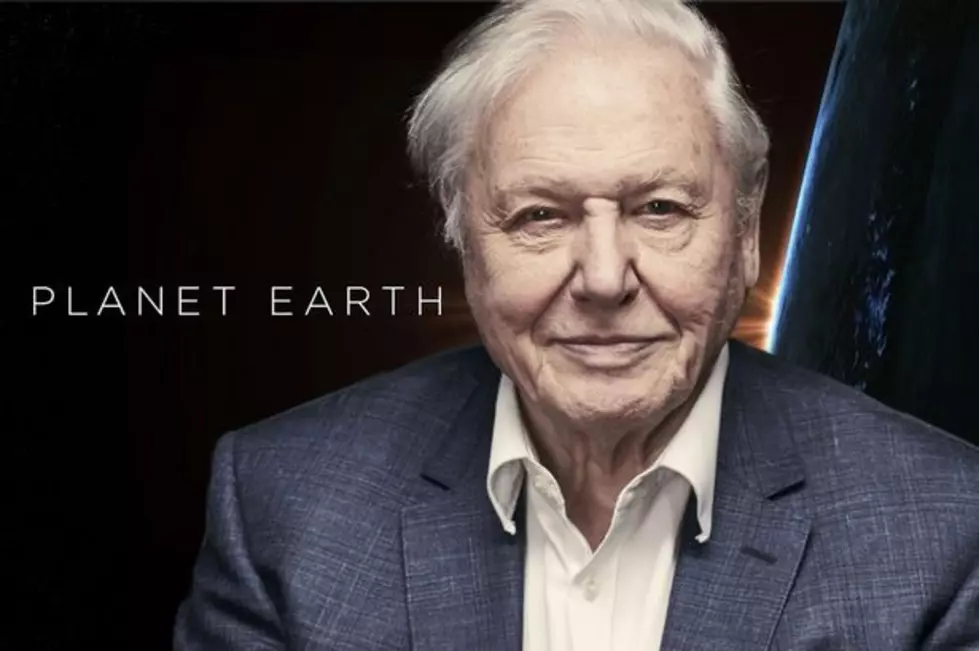 David Attenborough Wants You to Go Plant-Based to Save the Planet