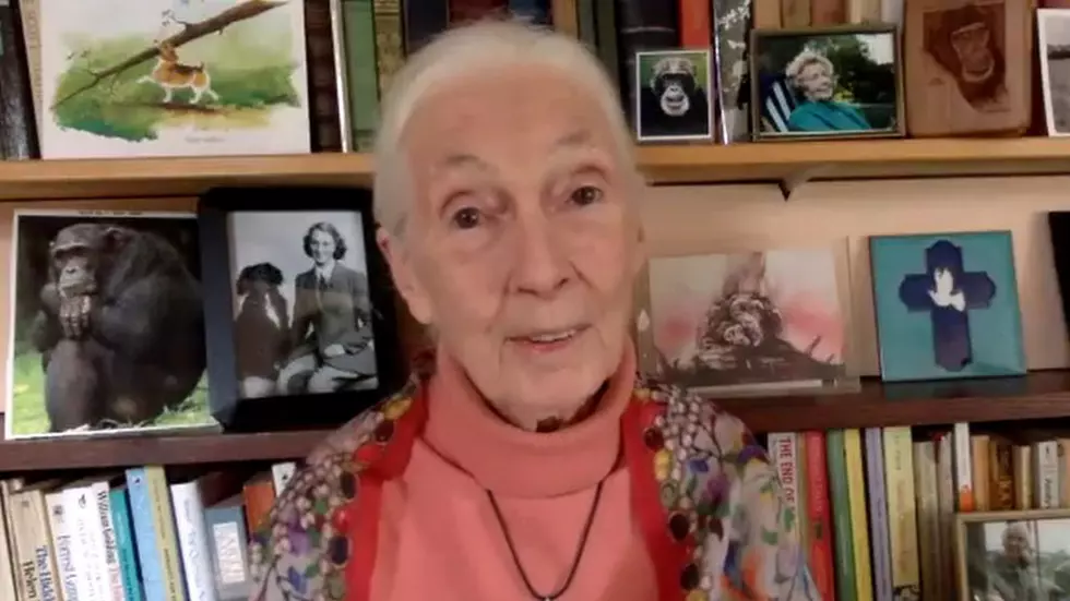 Jane Goodall Says: Give Up Meat for the Environment, Animals and Our Health