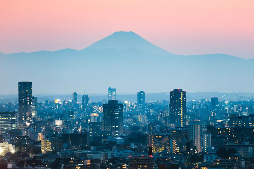 Japan Pledges to Be Carbon-Neutral by the Year 2050