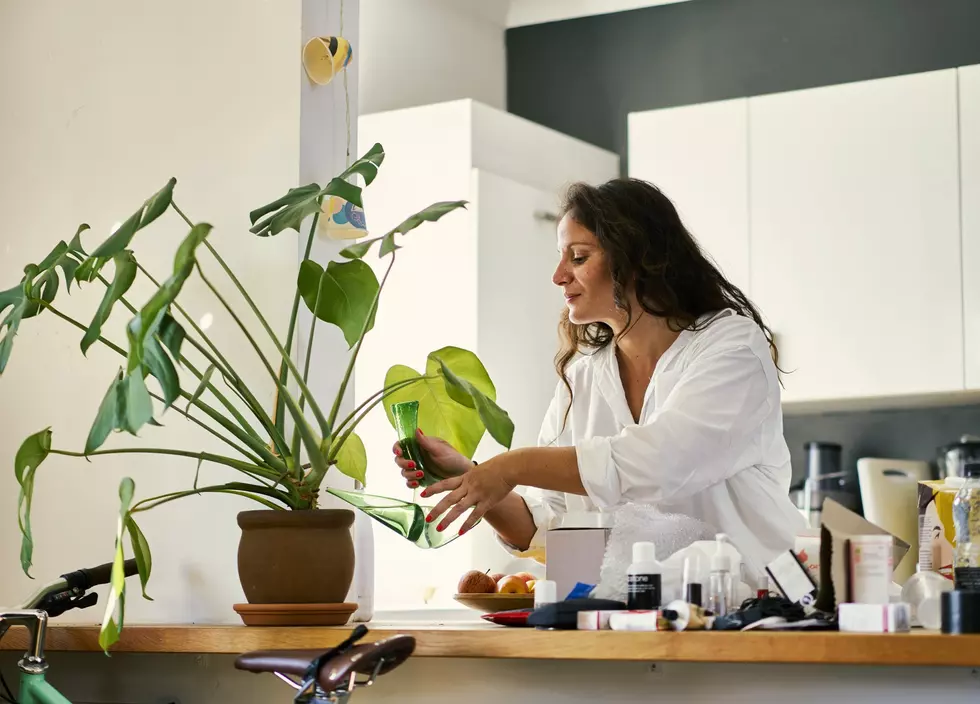 5 Mental Health Benefits of Houseplants