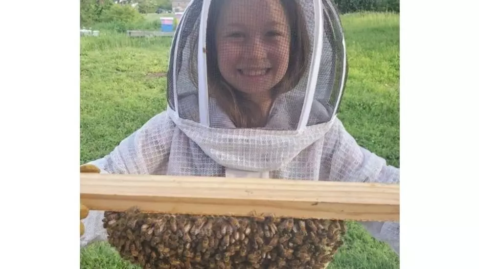 &#8220;Bee Keepers Love Bees.&#8221; A Beekeeper Sets the Record Straight About Honey