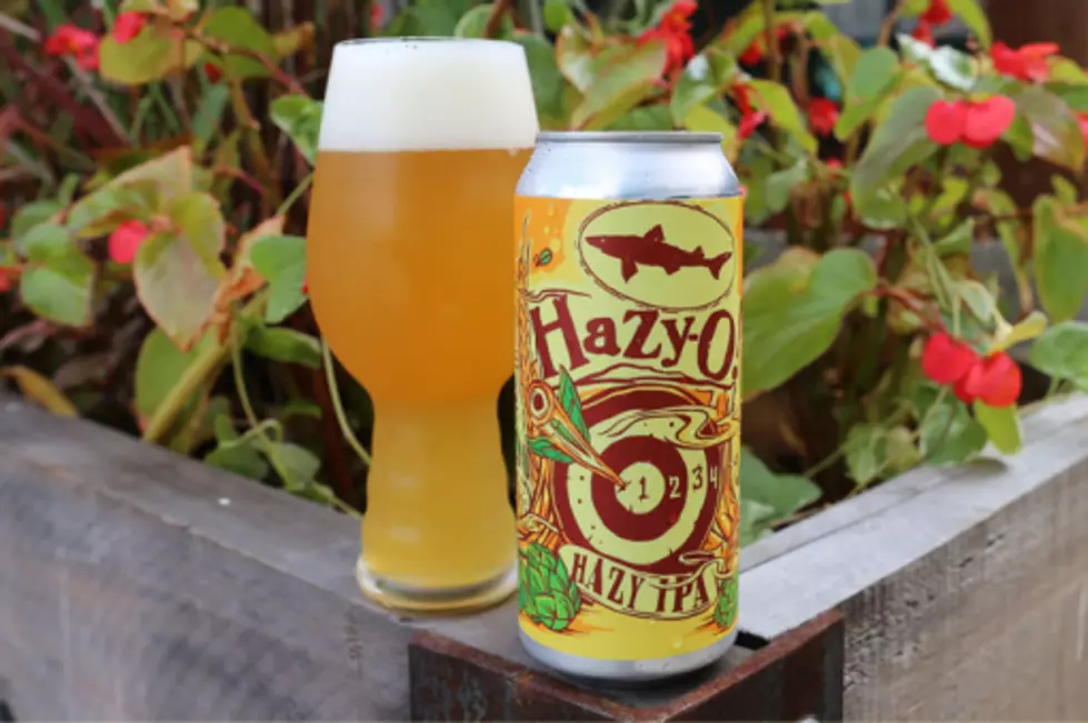 Dogfish Head Brewery Is Launching an Oat Milk-Infused IPA Nationwide