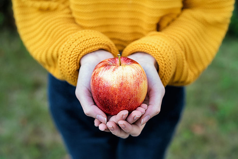 Switching to a Plant-Based Diet Helped Cure Her Life-Long Eating Disorder