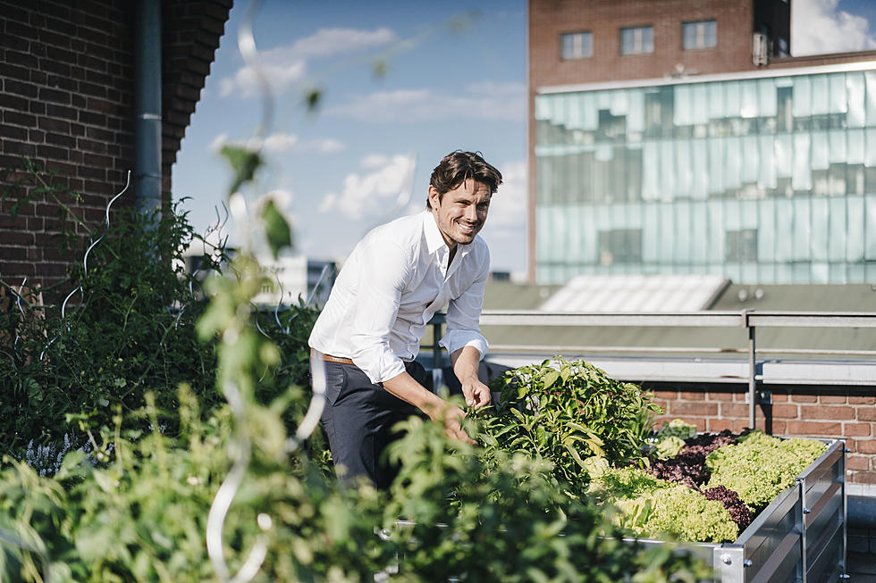 These Urban Farms Are Delivering Fresh Produce to Cities in the US