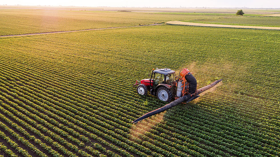 The EPA Is Banning This Harmful Pesticide. What You Need to Know