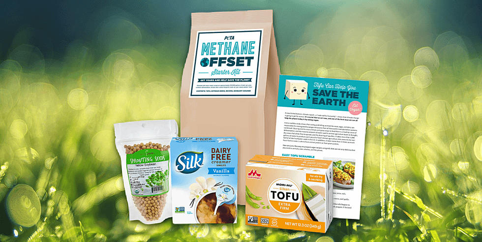 PETA Launches Methane Offset Kits to Help Consumers Fight Climate Change