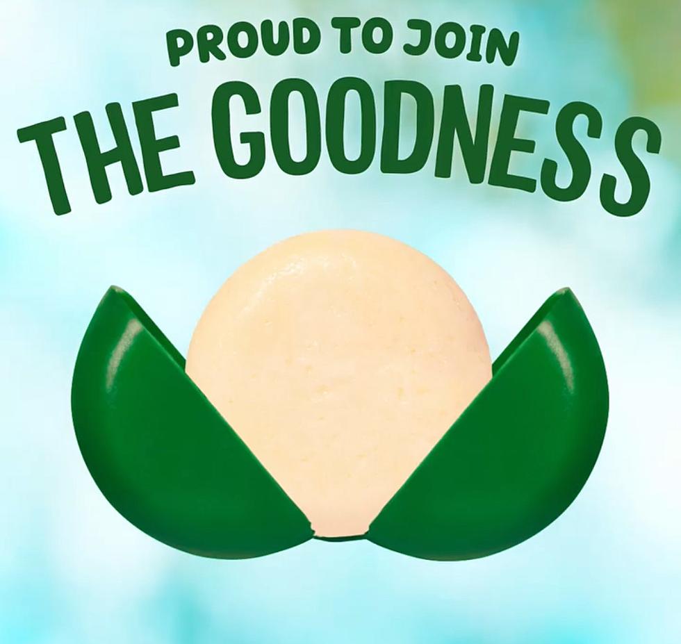 Babybel Launches Vegan Mini Cheese Wheels for Veganuary. Where to Get It