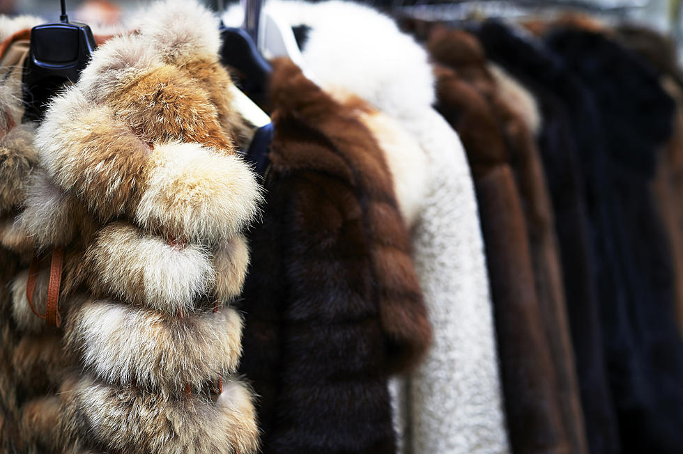 Dolce & Gabbana Plans to Ban Fur from Future Collections | The Beet