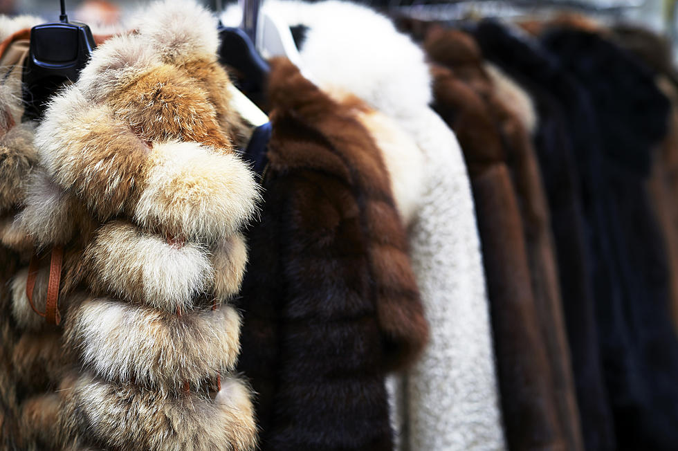 Dolce & Gabbana Plans to Ban Fur from Future Collections