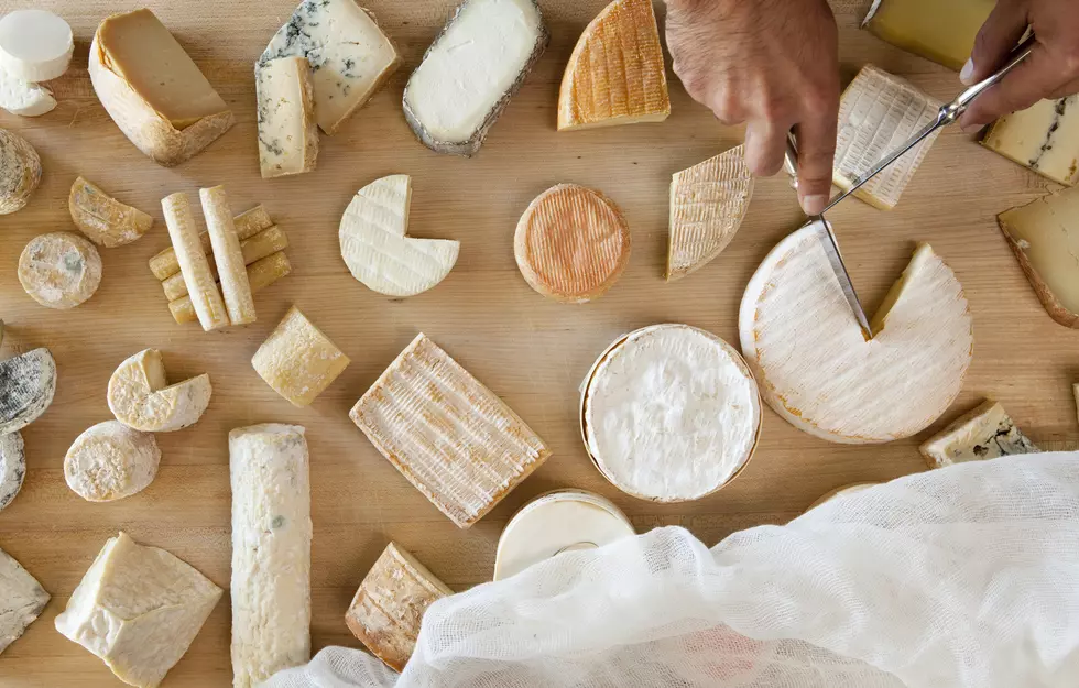Is Cheese Bad For You? 8 Reasons to Stay Away From Dairy