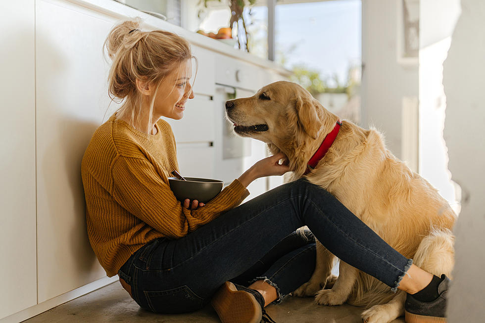 &#8220;I Fed My Dog Plant-Based Dog Food and Here&#8217;s What Happened&#8221;