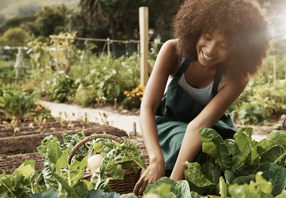 More Meat Farmers Are Switching From Cows To Plant-Based Agriculture