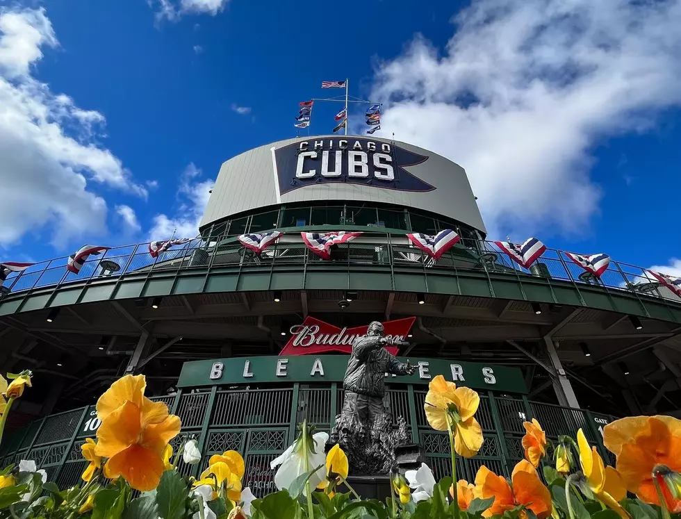 Batter Up! Cubs Fans Can Now Enjoy More Plant-Based Food at Wrigley Field