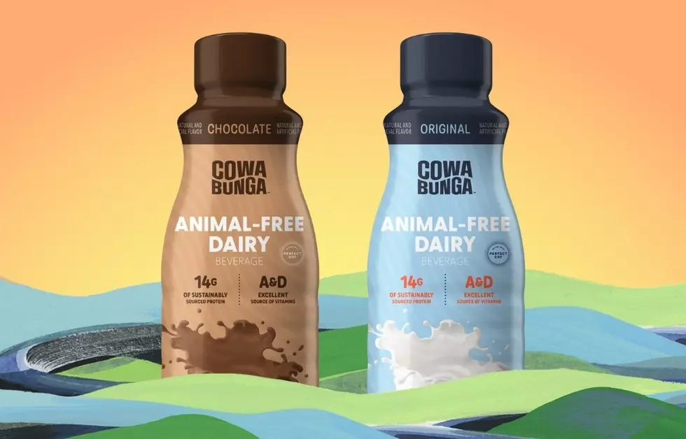 Nestle and Perfect Day’s Animal-Free Milks Hit Shelves