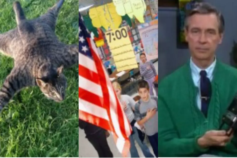 Week In Review – You’re Not Special Or Cool, Mr. Rogers Is Back, Helicopter Cat And More