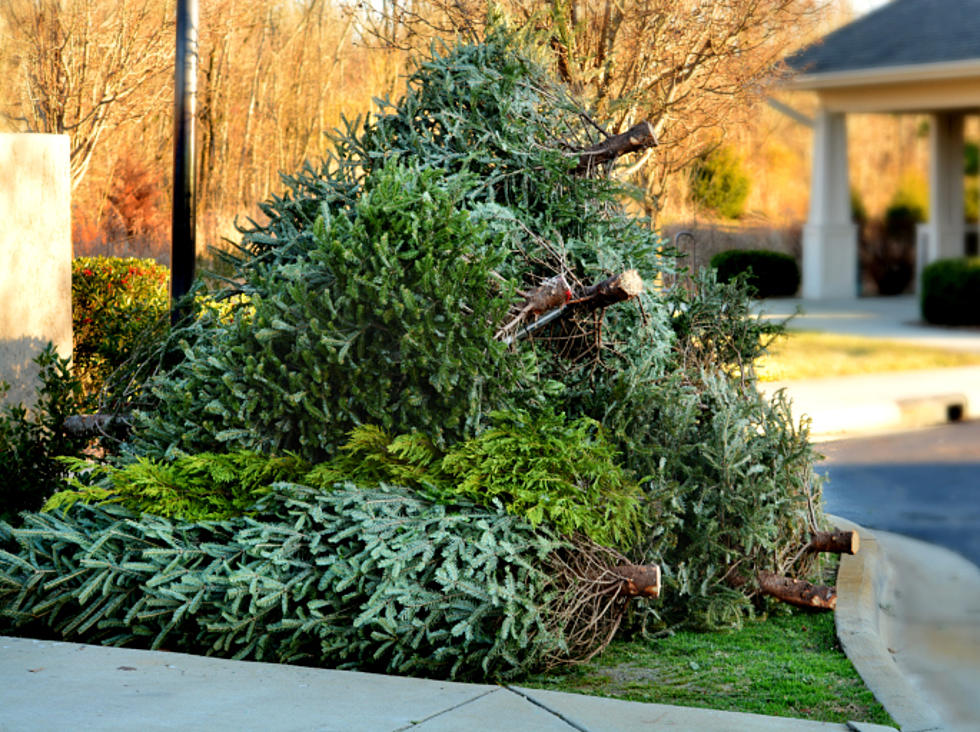 How to Dispose of Christmas Trees in Twin Falls