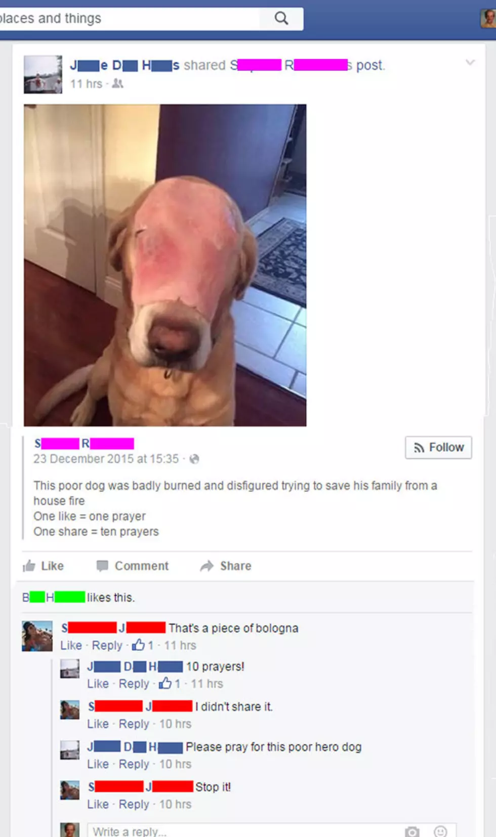 Watch How People React To This Picture Of An Injured Dog