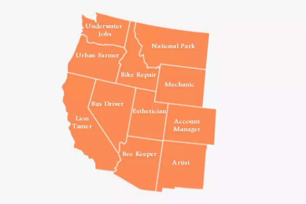 What Job Are More People In Idaho Googling Than Other States