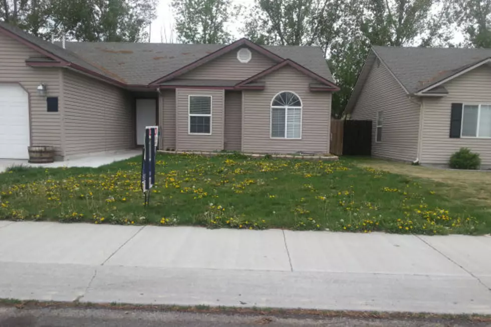 9 Lawns In Twin Falls That Have Forgotten How To Lawn
