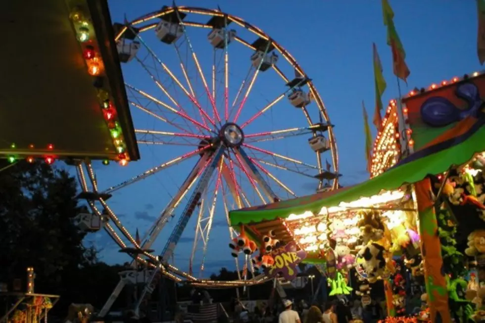 How Much Did You Spend At The Twin Falls County Fair