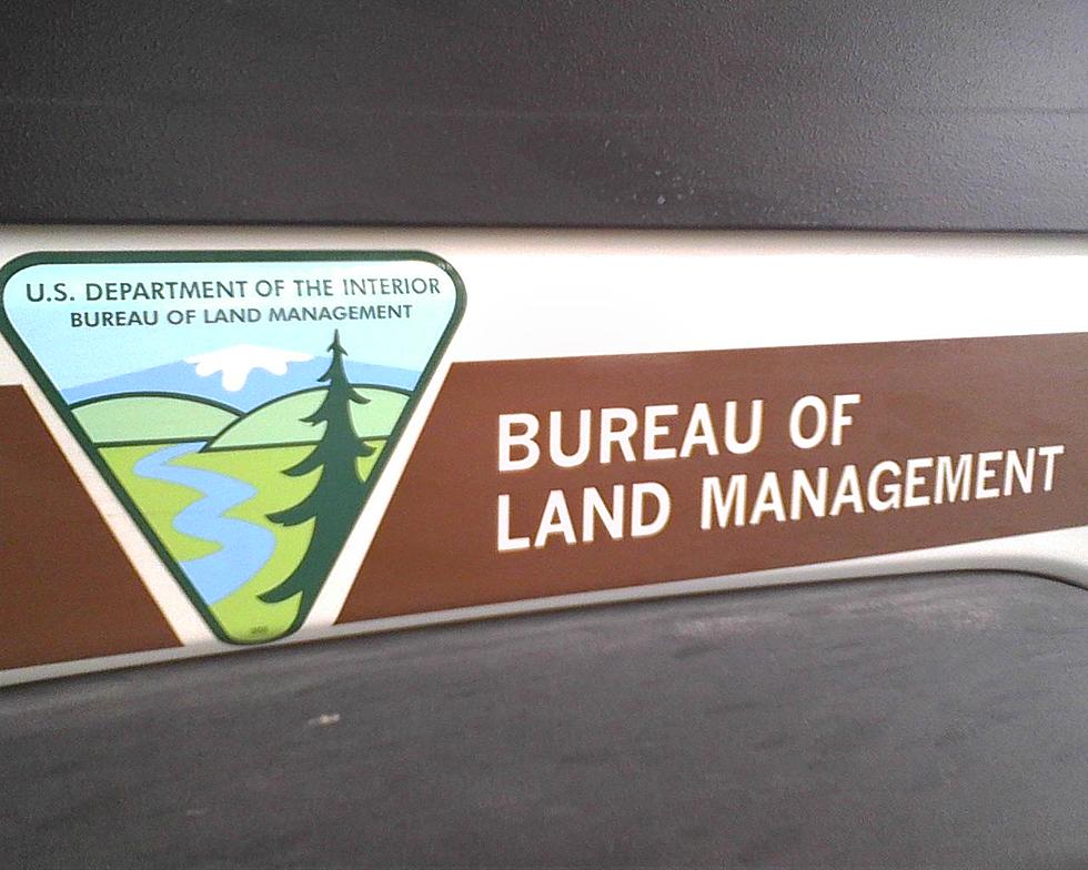 Public Invited to Comment at T.F. BLM Group Meeting