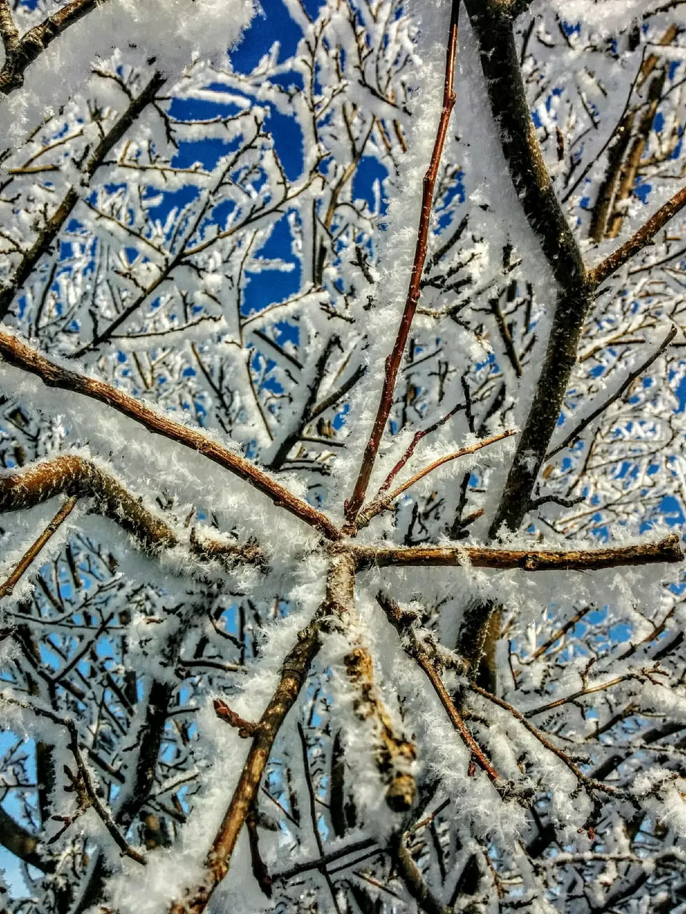 34 Awe Inspiring Pictures Of Hoarfrost In Twin Falls [IMAGES]