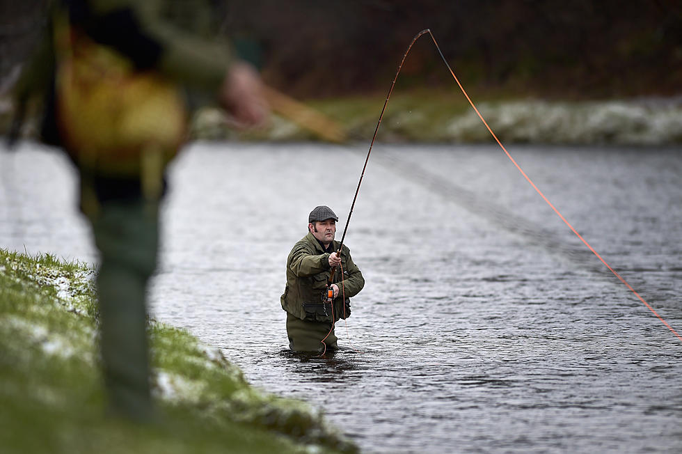 Comment Period on Salmon Runs Closes Saturday