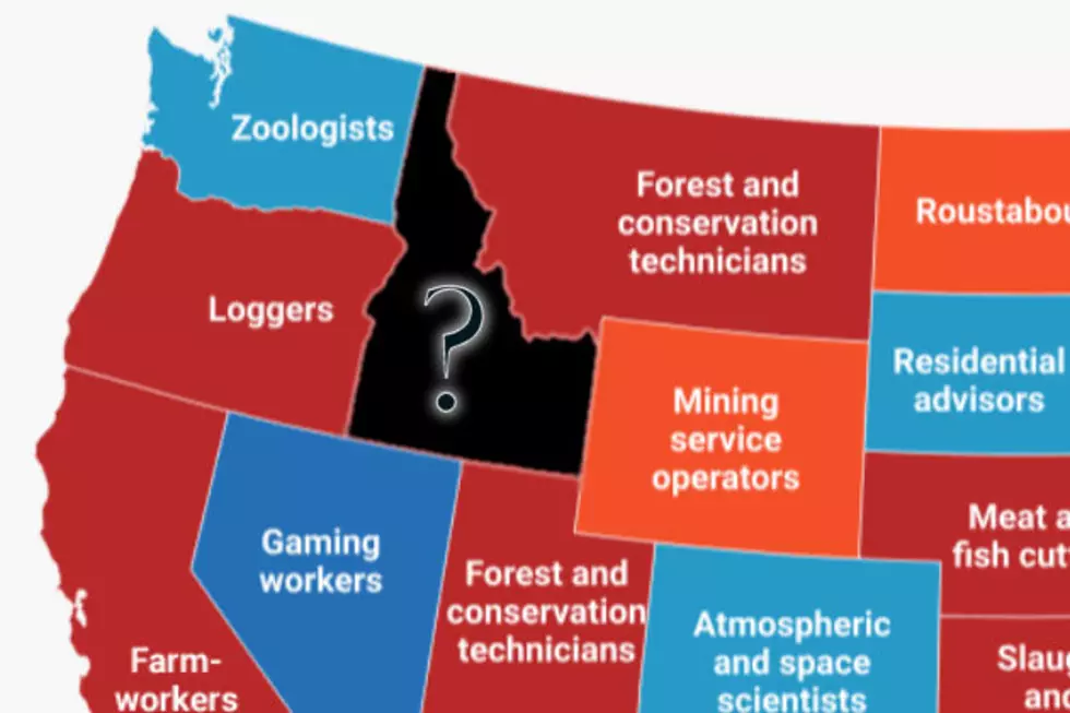 Which Job Is Disproportionately Popular In Idaho Than The Rest Of The United States