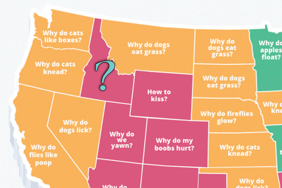 Idaho’s Most Googled ‘Why Do’ Question Is Weird Even For Idaho