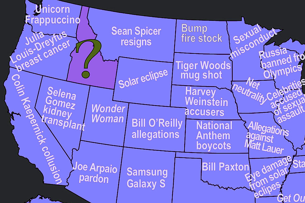 What Did Idaho Google More Than Any Other State In 2017