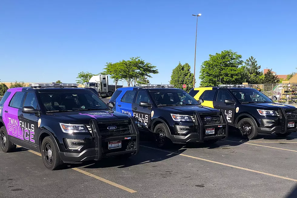 What Do The Different Colored Twin Falls Police Cars Represent