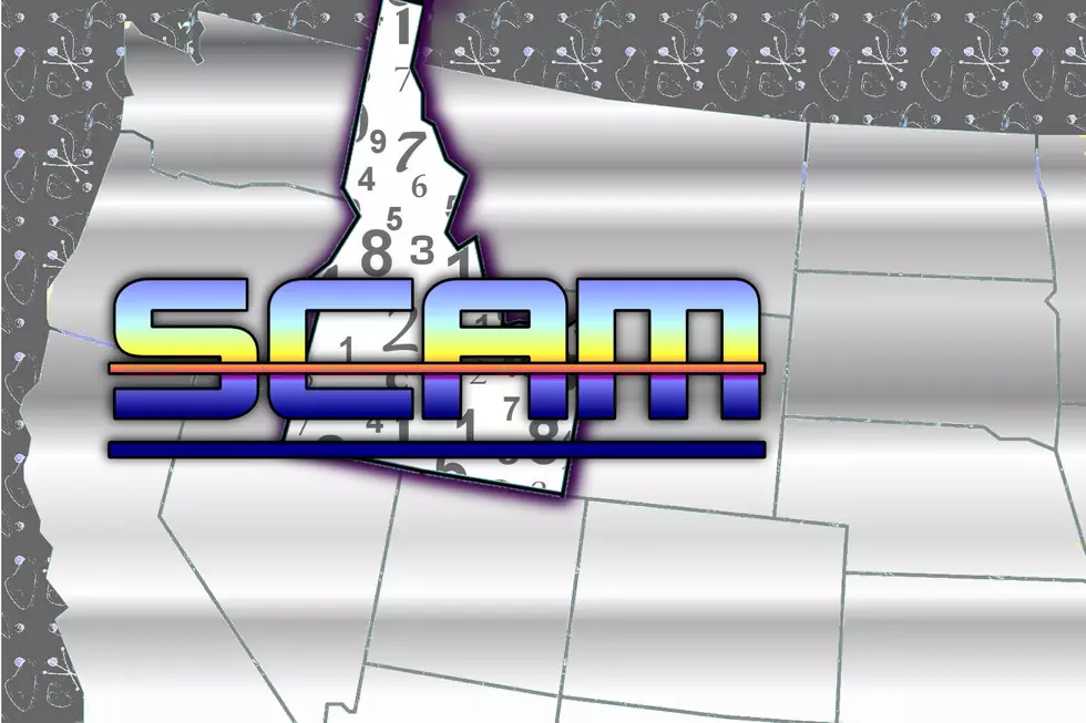 Can You Guess The Most Common Scam In Idaho?