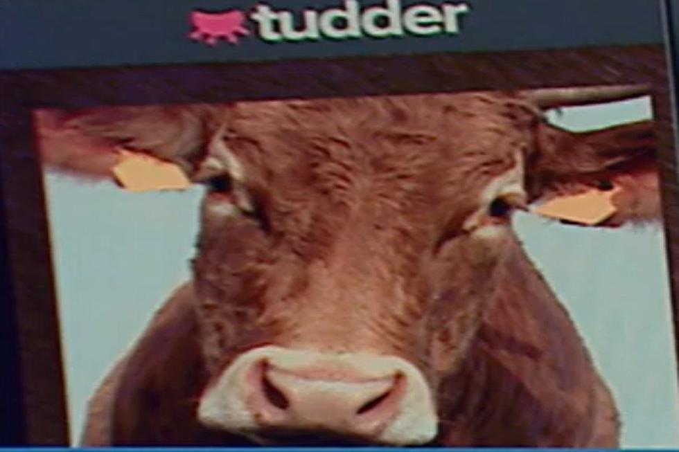 New App Is Tinder For Livestock; Do Idaho Farmers Need This?