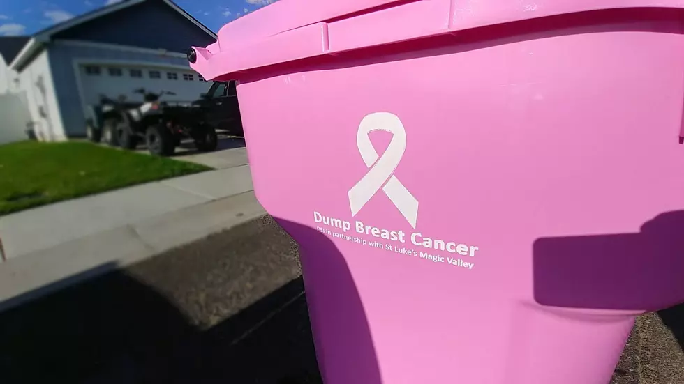 Here&#8217;s How To Get A Pink Garbage Can In Twin Falls