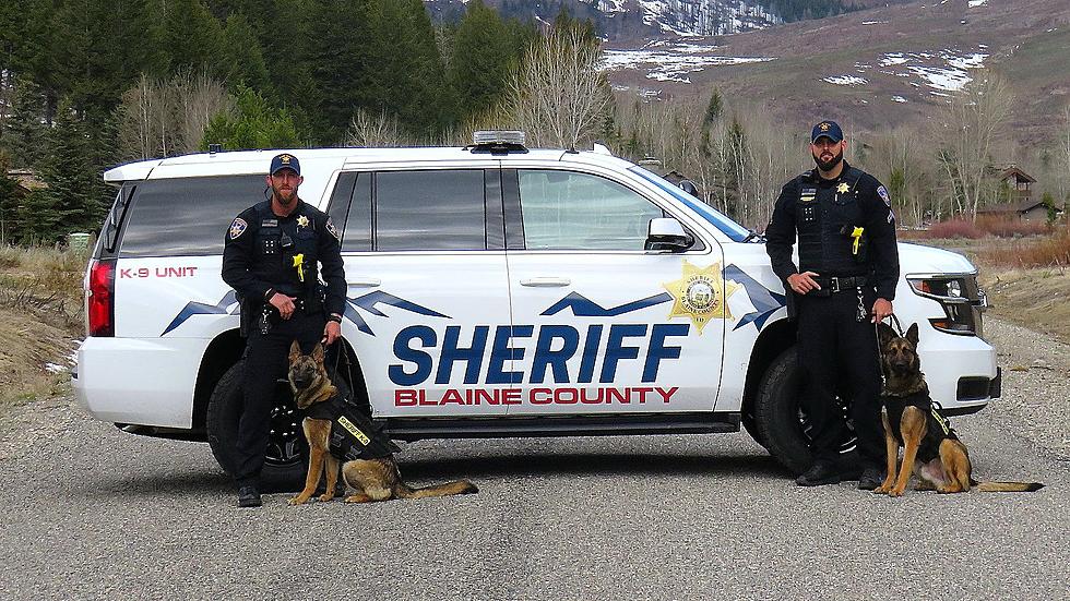 Blaine County K9 And Officer Celebrate Fun At Work Day