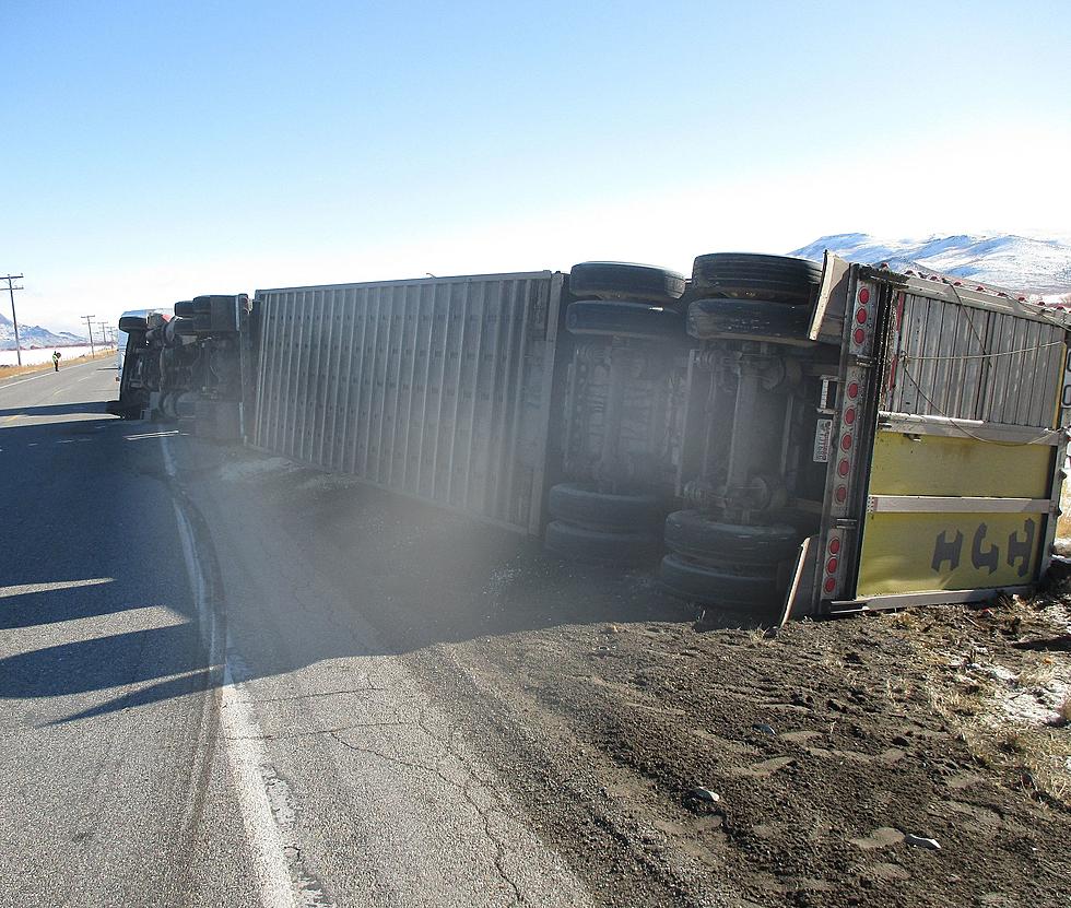 Truck Driver Misses Stop Sign, 17 Cattle Killed in S. Blaine County