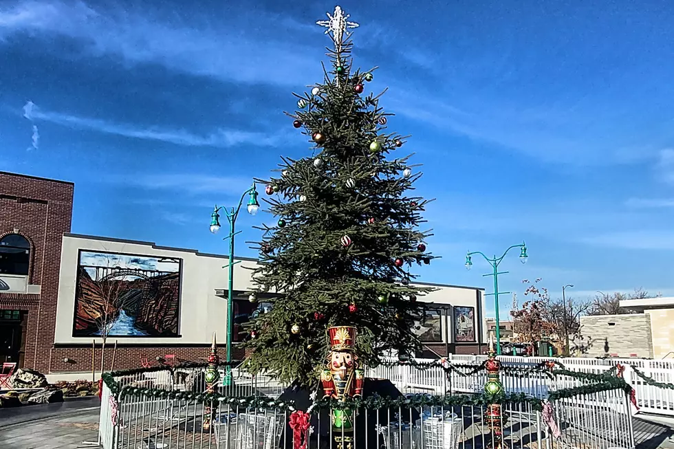 Twin Falls Downtown Christmas Tree Controversy