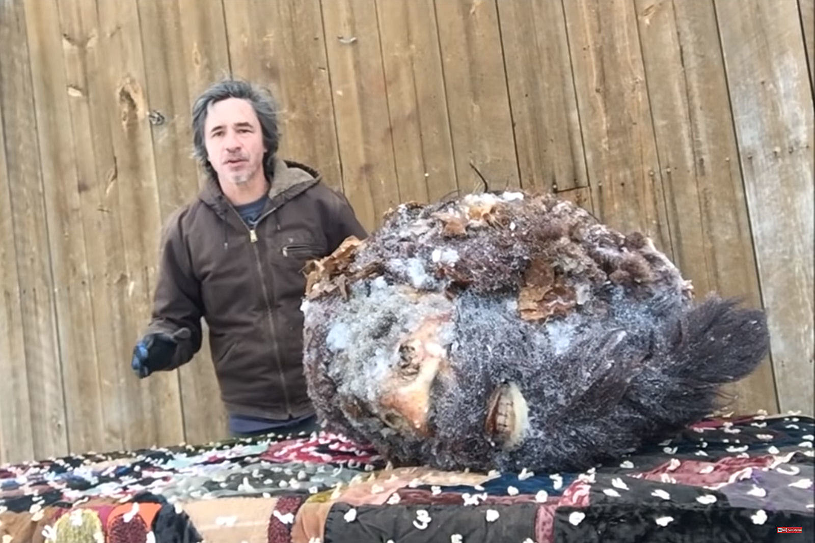 Look: Man Has Head Of Bigfoot In His Freezer