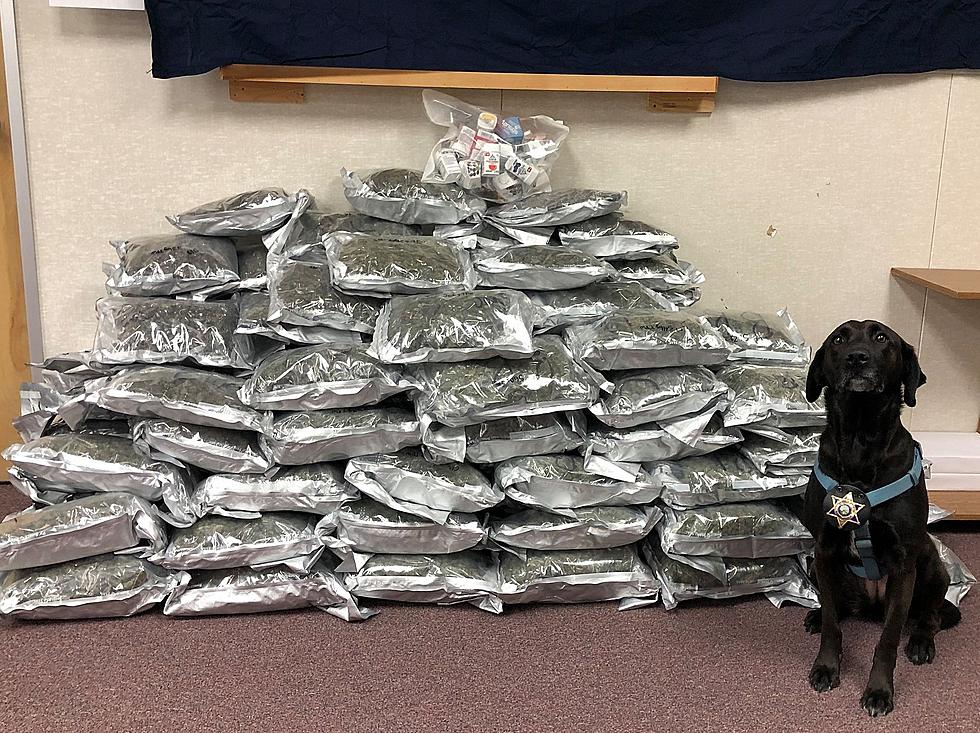 143 Pounds of Pot Found During Stop in Elmore County