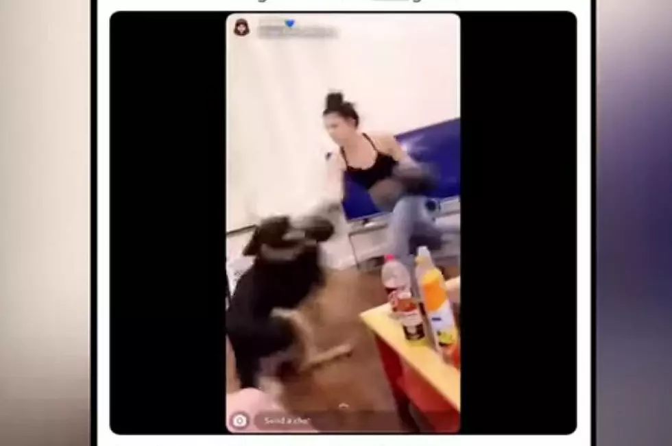 Idaho Lady Caught On Video Punching Dog In Head