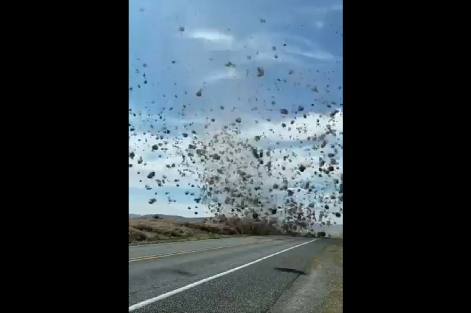 Washington man gets caught in a 'tumbleweed tornado': video