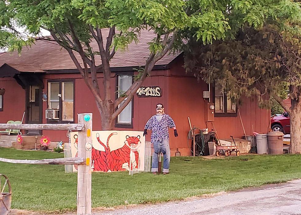 Tiger King Shrine Makes An Appearance In Twin Falls