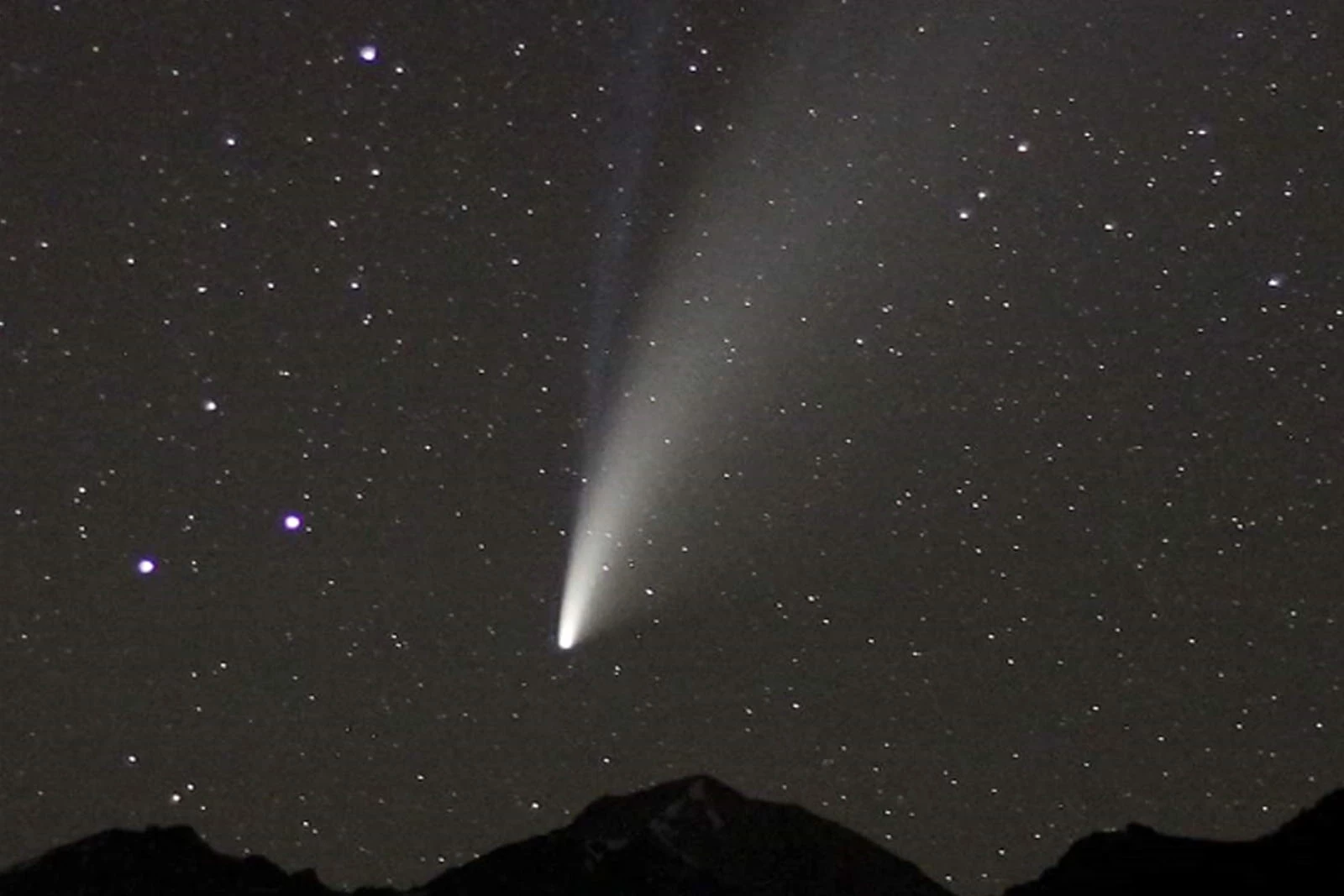 comet neowise