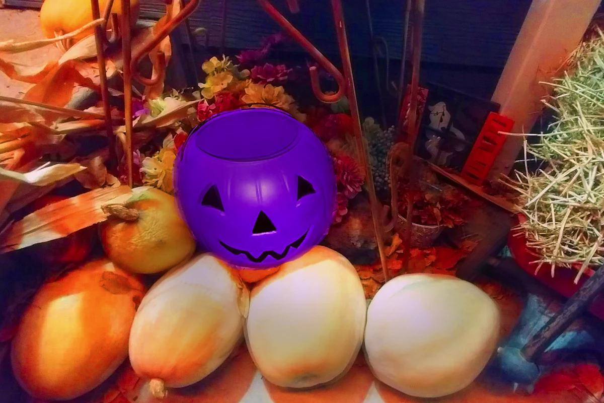 Why You Should Look Out For Purple Pumpkins On Halloween