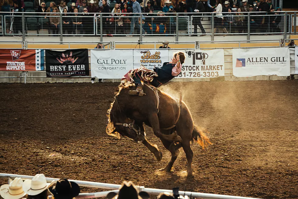 Cassia County Fair and Rodeo Begins This Weekend