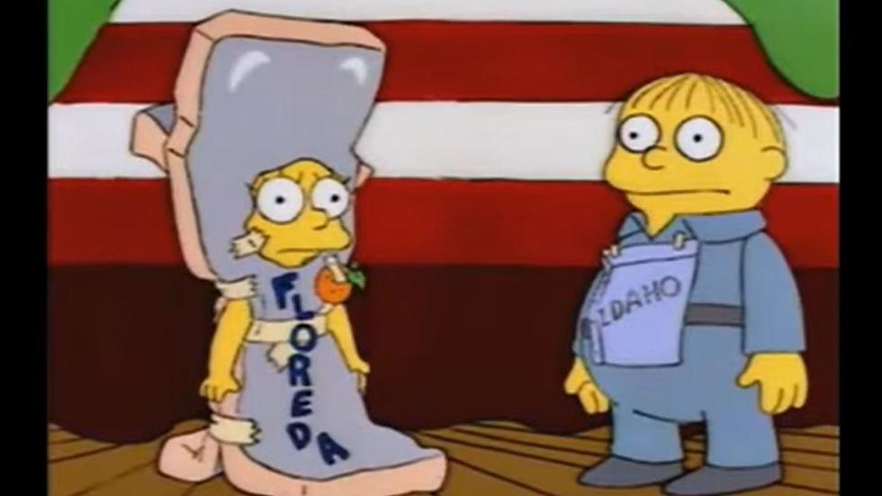 Remember That Time the Simpsons Roasted Idaho With One Sentence?