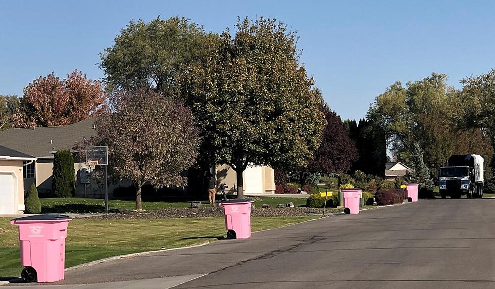 Get a Pink Garbage Bin For Breast Cancer Awareness in Southern Idaho