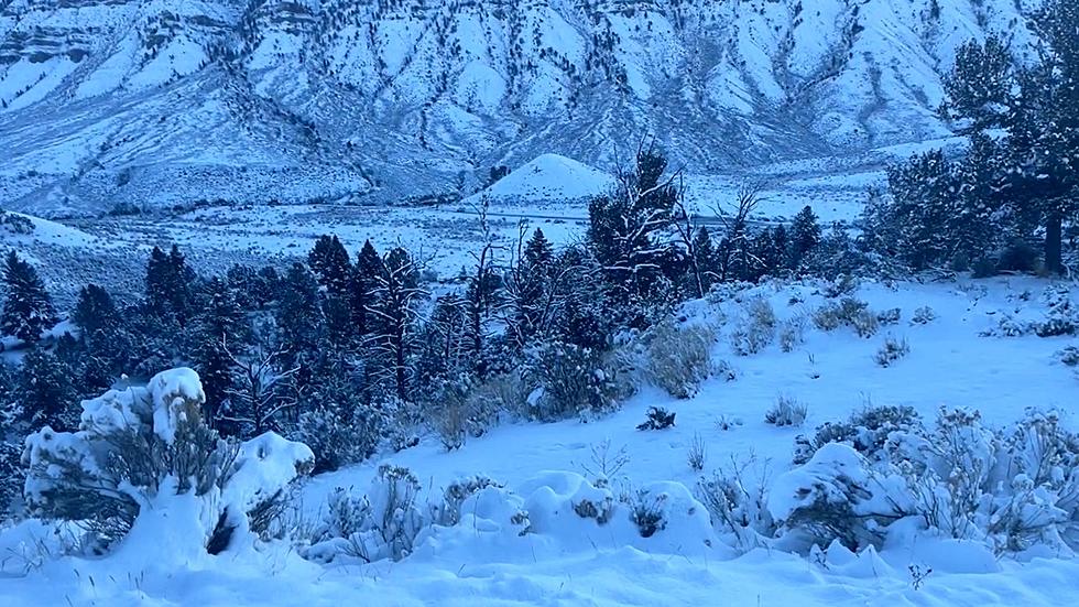 First Snow of the Season Covers Yellowstone in a Beautiful Blanket of White